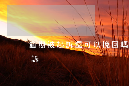 逾期被起訴還可以挽回嗎(逾期多久可以被起訴)