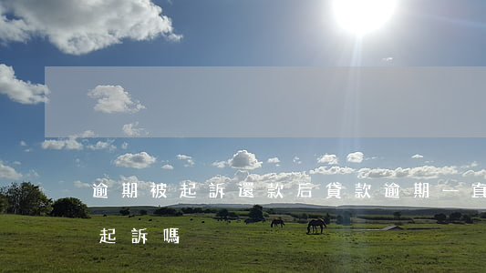 逾期被起訴還款后(貸款逾期一直在還錢會被起訴嗎?)
