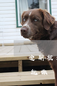 逾期被起訴還清了(逾期被起訴是不是還清了就撤訴了)