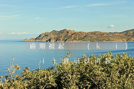 逾期被起訴開(kāi)庭遲到(遲到開(kāi)庭,可以再起訴嗎)