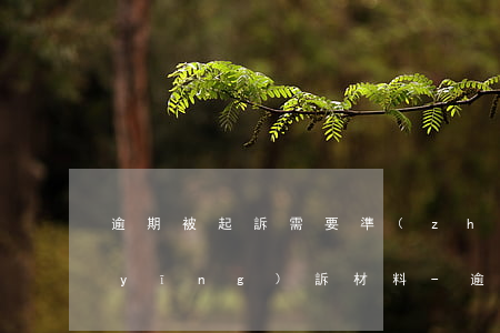 逾期被起訴需要準(zhǔn)備什么應(yīng)訴材料-逾期被起訴需要準(zhǔn)備什么應(yīng)訴材料呢