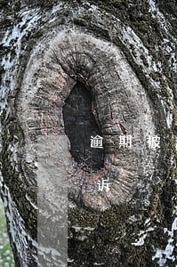 逾期被起诉不理会怎么样(逾期了会不会被起诉)