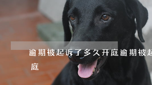 逾期被起诉了多久开庭 逾期被起诉了多久开庭