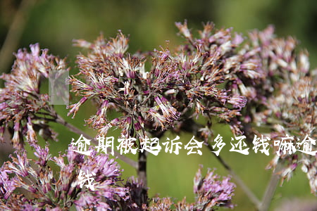 逾期被起诉会多还钱嘛(逾期起诉需要还多少钱)