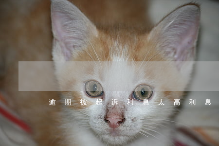 逾期被起诉利息太高(利息逾期可以起诉吗)