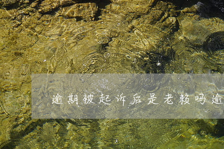 逾期被起诉后是老赖吗(逾期跟老赖的区别)