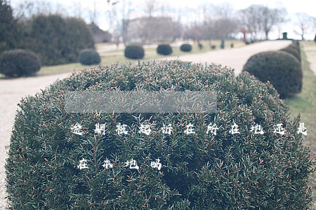 逾期被起诉在所在地还是户籍地(逾期起诉是在本地吗)