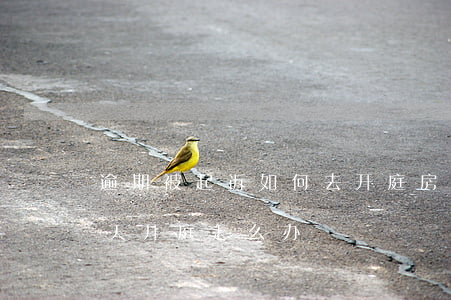逾期被起诉如何去开庭(房贷逾期被起诉了明天开庭怎么办)
