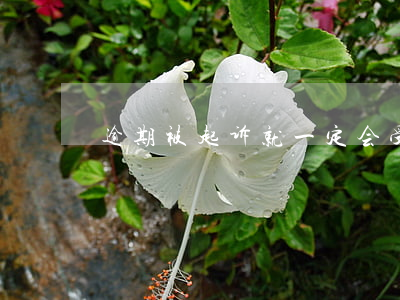 逾期被起诉就一定会受理吗(逾期会被告吗)