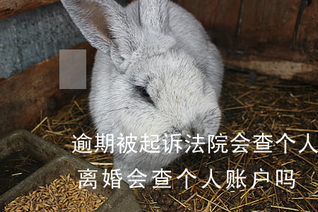 逾期被起诉法院会查个人账户吗(去法院起诉离婚会查个人账户吗)