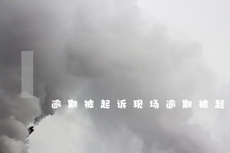 逾期被起诉现场(逾期被起诉现场)