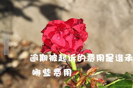 逾期被起诉的费用是谁承担(逾期败诉要承担哪些费用)