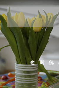 逾期被起诉的过程(欠款逾期被起诉流程)