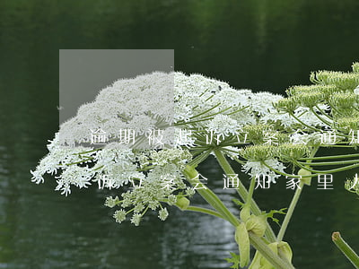 逾期被起诉立案会通知家里人吗-逾期被起诉立案会通知家里人吗知乎