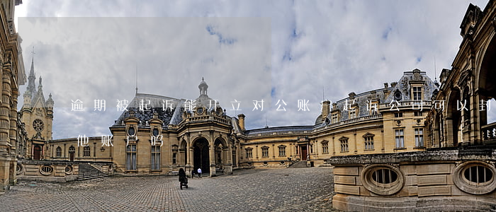 逾期被起诉能开立对公账户(起诉公司可以封他账户吗)