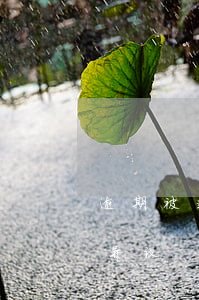 逾期被起诉要写管辖权异议 被告提起管辖权异议
