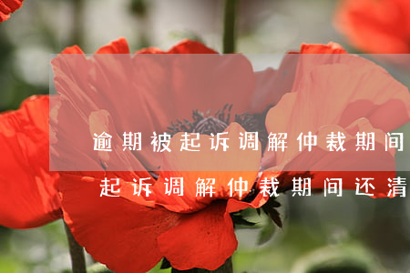 逾期被起诉调解仲裁期间还清欠款-逾期被起诉调解仲裁期间还清欠款怎么办