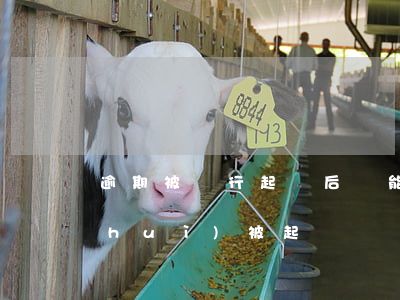 逾期被銀行起訴后還能起訴嗎(銀行逾期會(huì)被起訴嗎)
