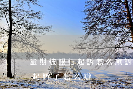 逾期被銀行起訴怎么應訴-貸款逾期被銀行起訴了怎么辦