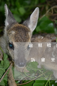 逾期被銀行起訴會坐牢嗎(銀行貸款逾期被起訴會坐牢嗎)