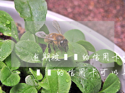 逾期被銷戶的信用卡可以再申請嗎-逾期被銷戶的信用卡可以再申請嗎安全嗎