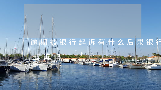 逾期被银行起诉有什么后果(银行卡逾期会被起诉吗)