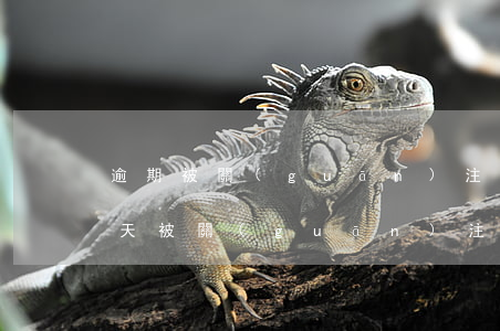 逾期被關(guān)注類貸款(貸款逾期幾天被關(guān)注)