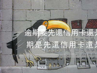 逾期要先還信用卡還是網(wǎng)貸(逾期是先還信用卡還是網(wǎng)貸)