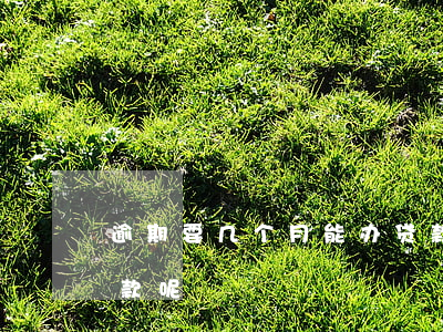 逾期要几个月能办贷款(一般逾期几次不能贷款呢)