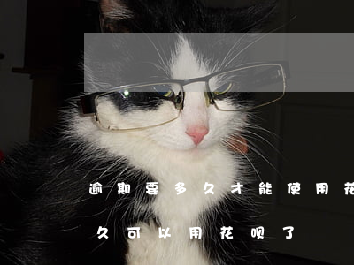 逾期要多久才能使用花呗(花呗逾期还完了,多久可以用花呗了)