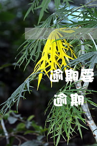 逾期要幾個(gè)月能辦貸款嗎(房貸可以逾期幾個(gè)月)