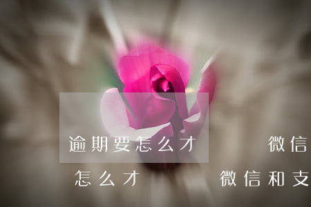逾期要怎么才會凍結微信和支付寶-逾期要怎么才會凍結微信和支付寶呢 逾期要怎么才會凍結微信和支付寶-逾期要怎么才會凍結微信和支付寶呢