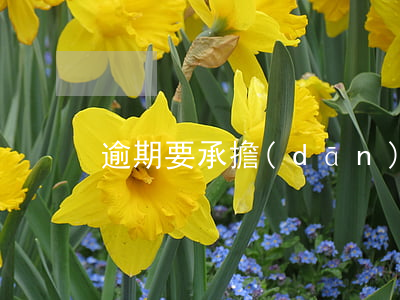 逾期要承擔(dān)