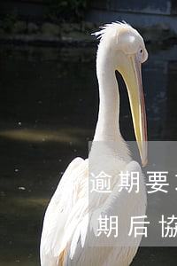 逾期要求全額還款可以協(xié)商嗎(逾期后協(xié)商還款,還算逾期嗎)