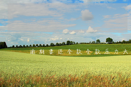 逾期要还全款：全款压力大？