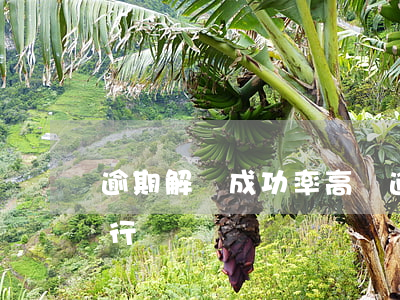 逾期解凍成功率高嗎(逾期解凍成功率高嗎銀行)