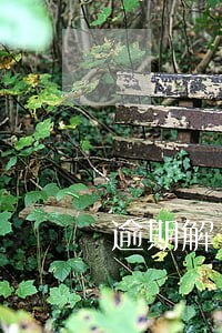 逾期解約函(催告解約函)