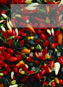 逾期訂單可通過什么進(jìn)行搜索途虎-途虎訂單跟蹤