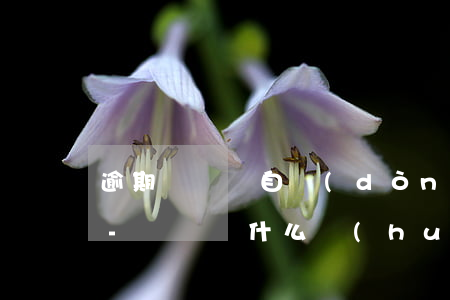 逾期訂單將自動(dòng)取消什么意思-訂單為什么會(huì)自動(dòng)取消