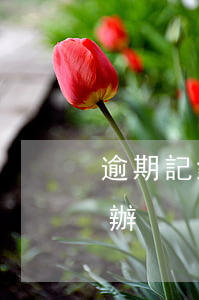 逾期記錄不能貸款買房(買房有逾期記錄怎么辦)