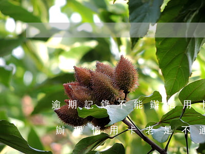 逾期記錄不能辦信用卡(沒有逾期記錄為什么辦理信用卡老是不通過)