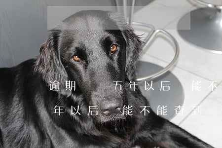 逾期記錄五年以后還能不能查到(逾期記錄五年以后還能不能查到)