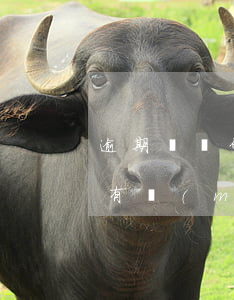 逾期記錄什么時(shí)候沒(méi)有(沒(méi)有逾期卻有逾期記錄)
