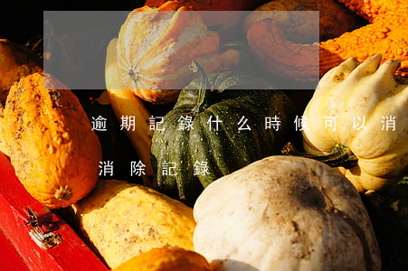 逾期記錄什么時候可以消除（逾期多久后可以消除記錄）