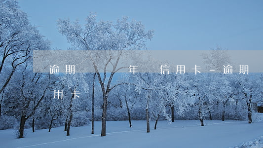 逾期記錄兩年辦信用卡-逾期兩年還能辦信用卡嗎
