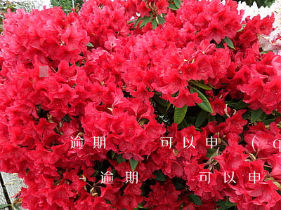 逾期記錄可以申請(qǐng)哪家信用卡-逾期記錄可以申請(qǐng)哪家信用卡