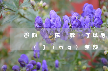 逾期記錄在貸款還了以后(有逾期記錄,但是已經(jīng)全部還清還能貸款嗎?)