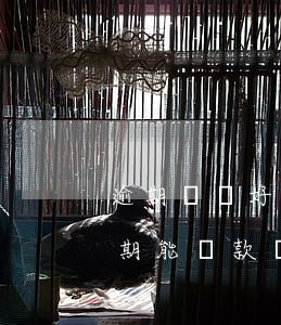 逾期記錄好幾年了征信上還有(征信幾年前逾期能貸款買房嗎)