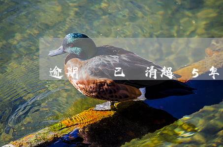 逾期記錄已還清超過5年怎么消除