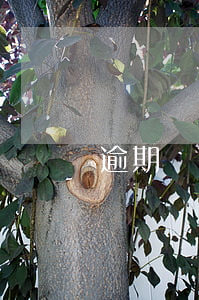 逾期記錄幾次銀行不貸款(貸款有過一次逾期記錄)